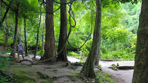 bua tong waterfall, sticky waterfall, buatong sticky waterfall