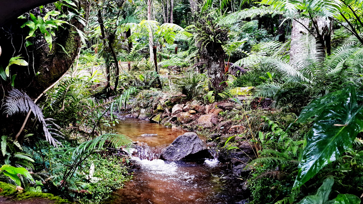 doi inthanon national park, inhanon, doi inthanon, inthanon national park