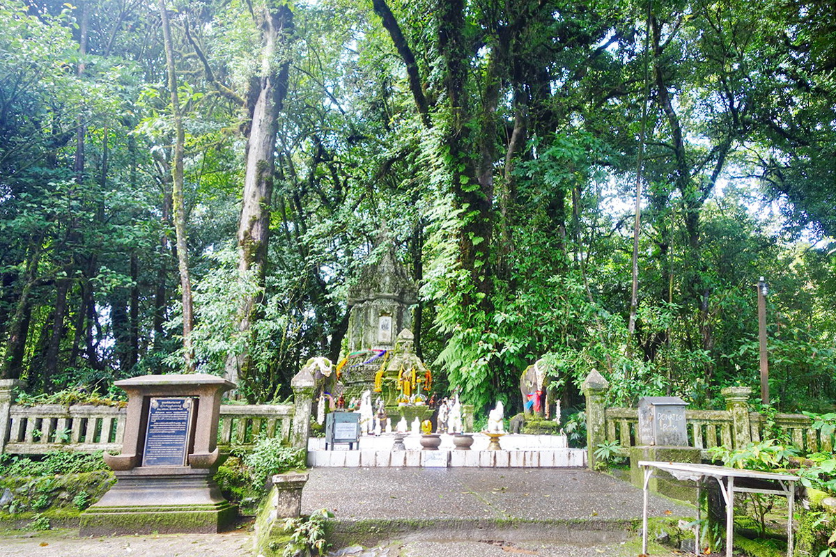 doi inthanon national park, inhanon, doi inthanon, inthanon national park