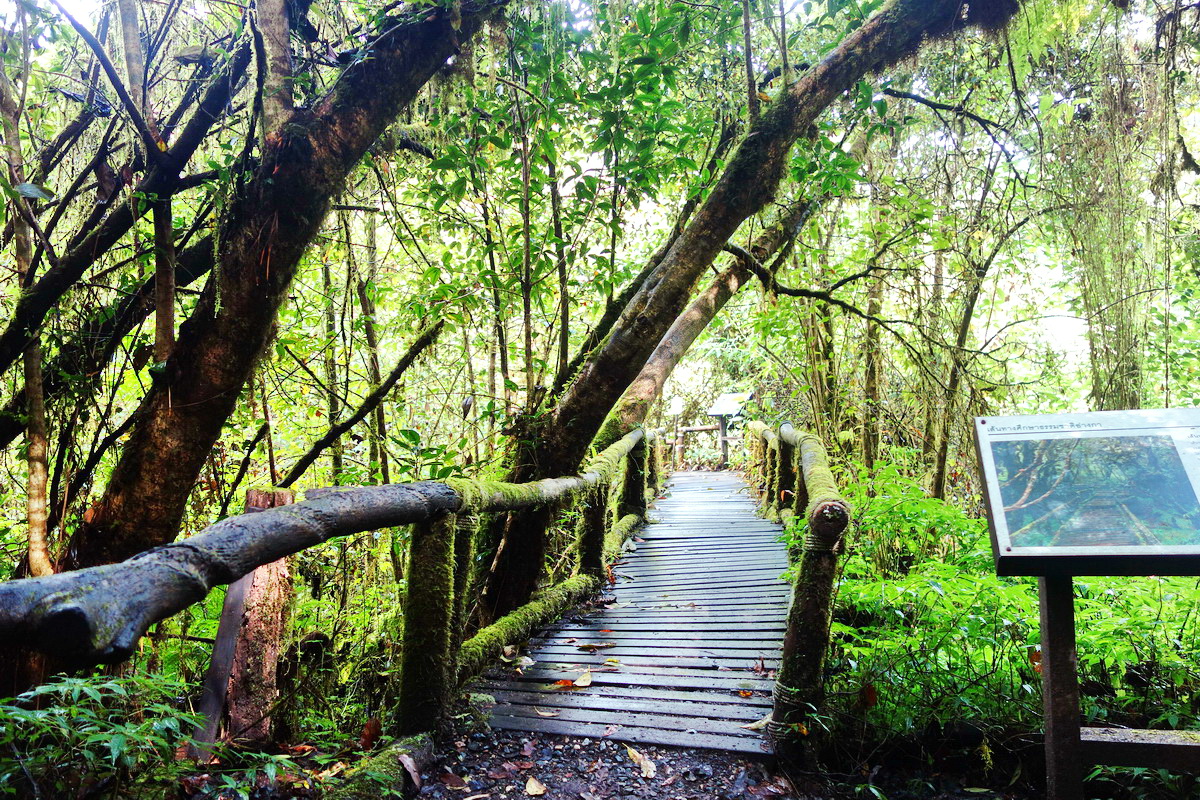 doi inthanon national park, inhanon, doi inthanon, inthanon national park