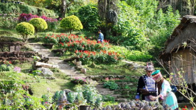 hmong hilltribe village, hmong village, hmong tribal village, doi pui hmong village, doi pui hmong hilltribe village
