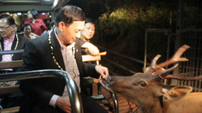 chiang mai night safari, chiangmai night safari, chiang mai night zoo, chiang mai attractions