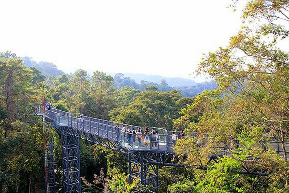 queen sirikit botanic garden, queen sirikit garden, sirikit botanic garden, botanic garden chiang mai