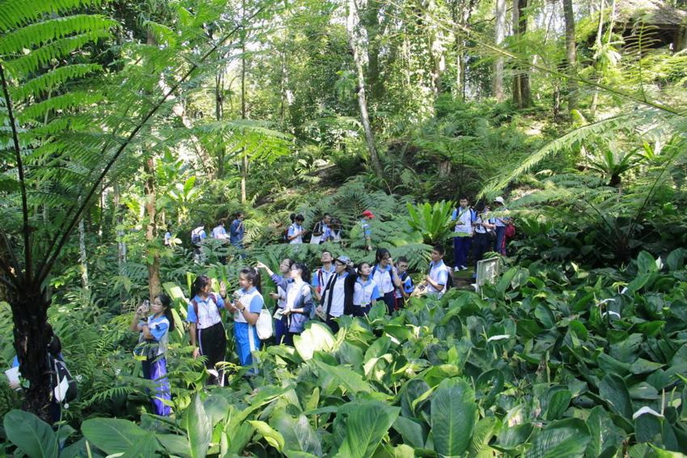 queen sirikit botanic garden, queen sirikit garden, sirikit botanic garden, botanic garden chiang mai