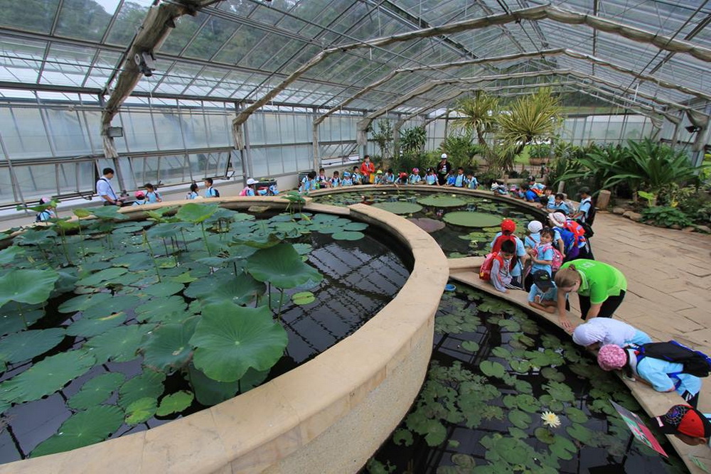 queen sirikit botanic garden, queen sirikit garden, sirikit botanic garden, botanic garden chiang mai