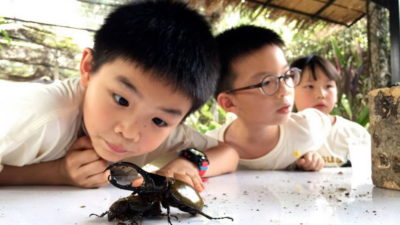 siam insect zoo, siam insect zoo chiang mai, insect zoo chiang mai, chiang mai attractions