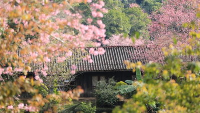 khun chang khian, khun chang kian, khun chang khian garden
