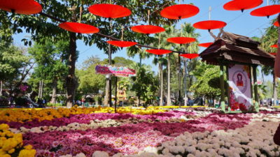 suan buak haad public park, suan buak haad, nongbuakhad park