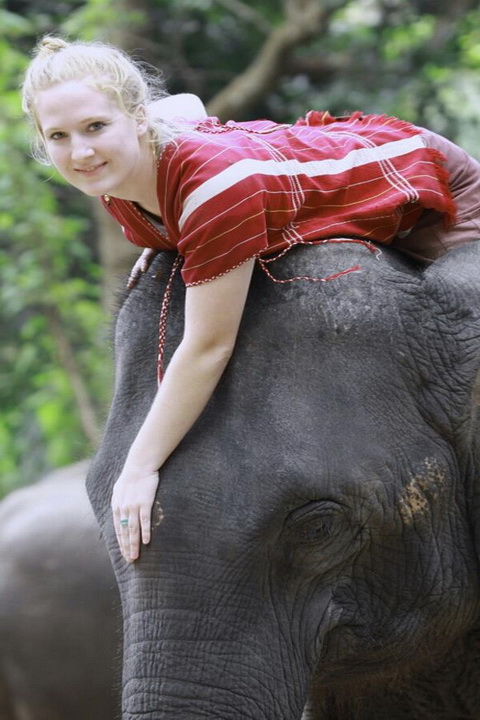 patara elephant camp, patara elephant farm, patara elephant, patara elephant chiang mai, patara elephant camp chiang mai