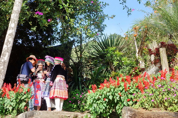 doi hmong, doi suthep-pui national park, doi suthep - pui national park