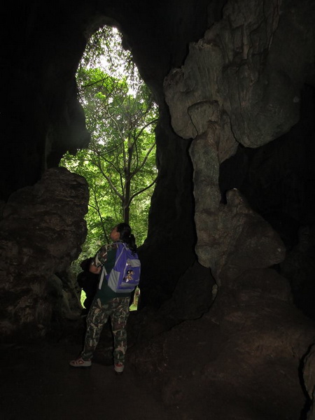 khun-khan national park, khun khan national park, khunkhan national park, national parks in chiang mai