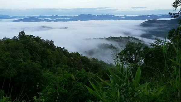 sri lanna national park, si lanna national park, srilanna national park, national parks in chiang mai