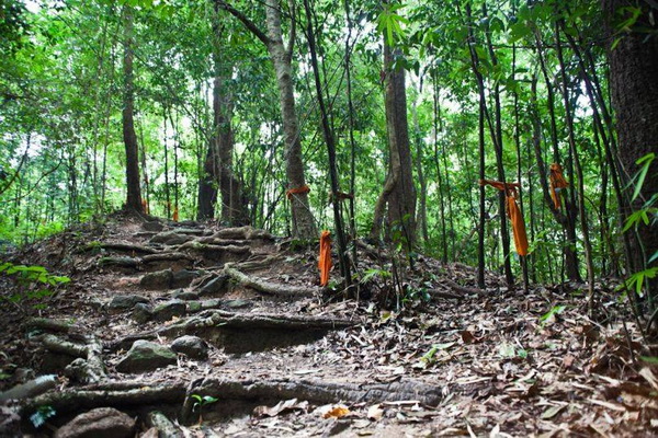 wat palad, doi suthep-pui national park, doi suthep - pui national park