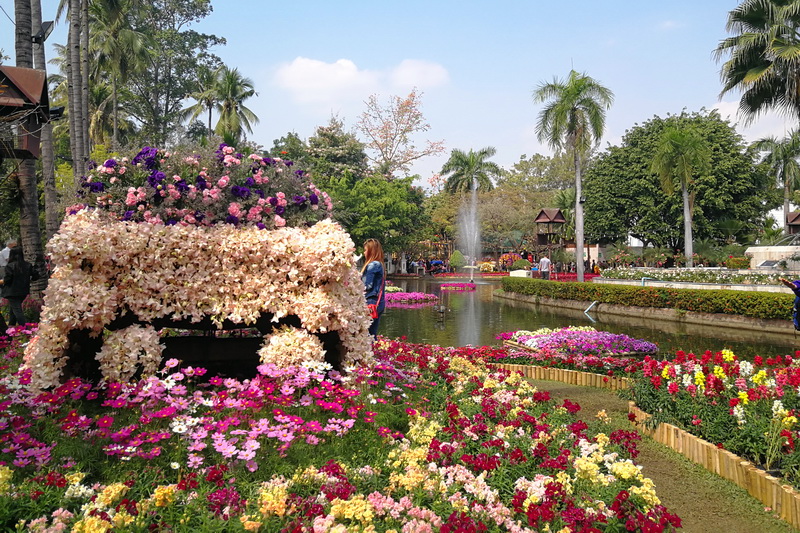 chiang mai flower festival