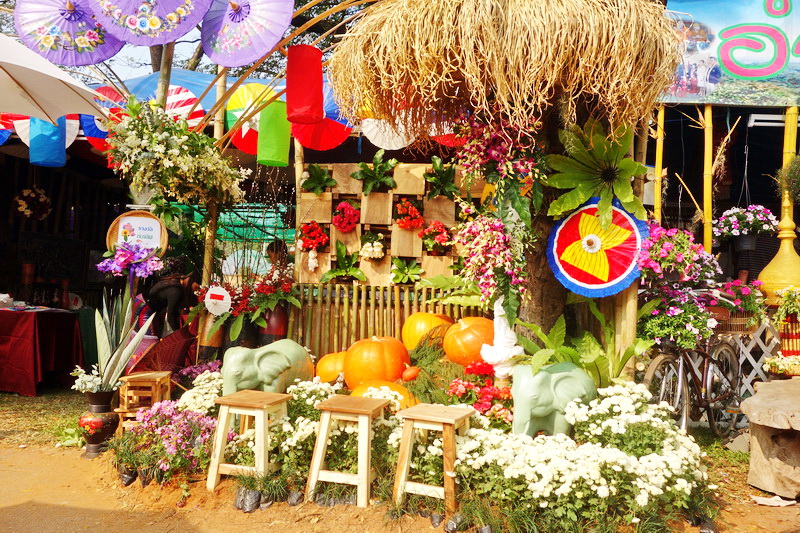 chiang mai flower festival