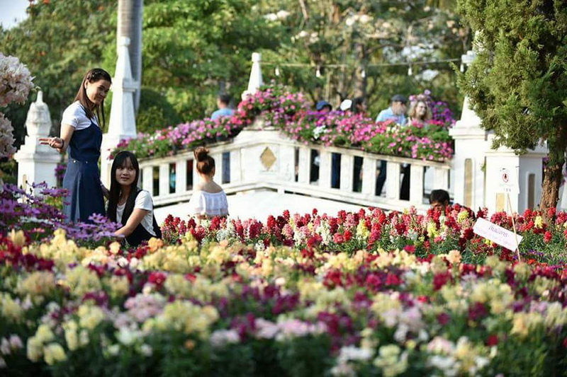 chiang mai flower festival