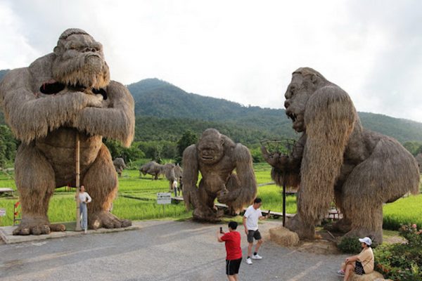 huay tung tao, chiang mai attractions