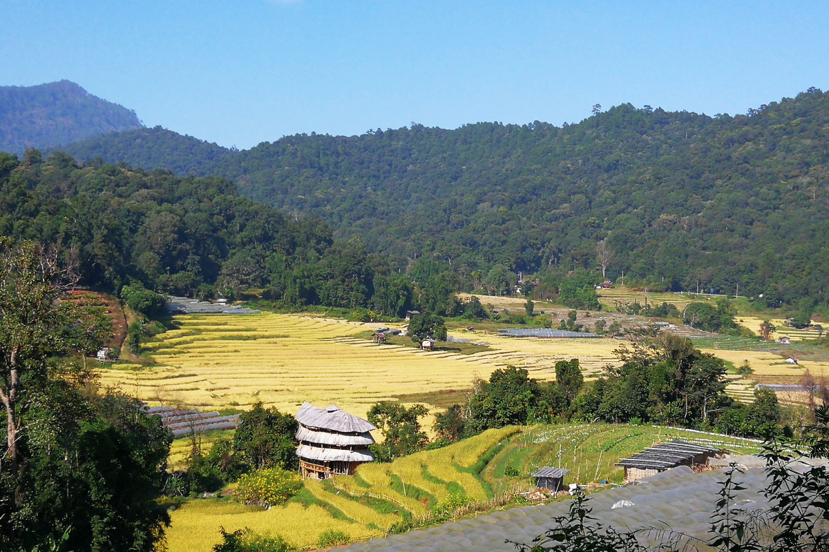 ban mae klang luang, ban maeklang luang, doi inthanon, doi inthanon national park