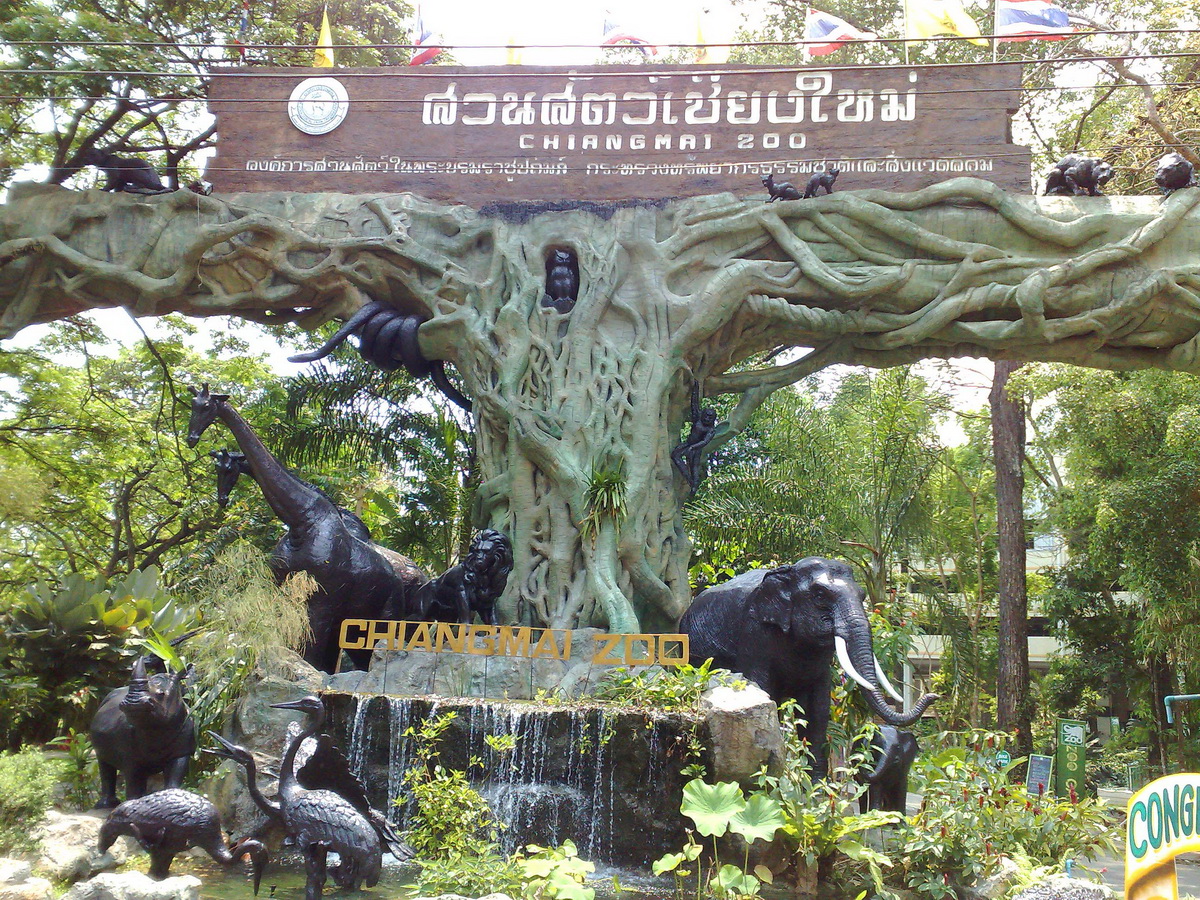 chiang mai zoo, chiangmai zoo, attractions in chiang mai