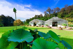 queen sirikit botanic garden, queen sirikit garden, sirikit botanic garden, botanic garden chiang mai