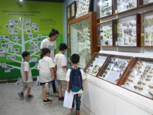 siam insect zoo, siam insect zoo chiang mai, insect zoo chiang mai, chiang mai attractions