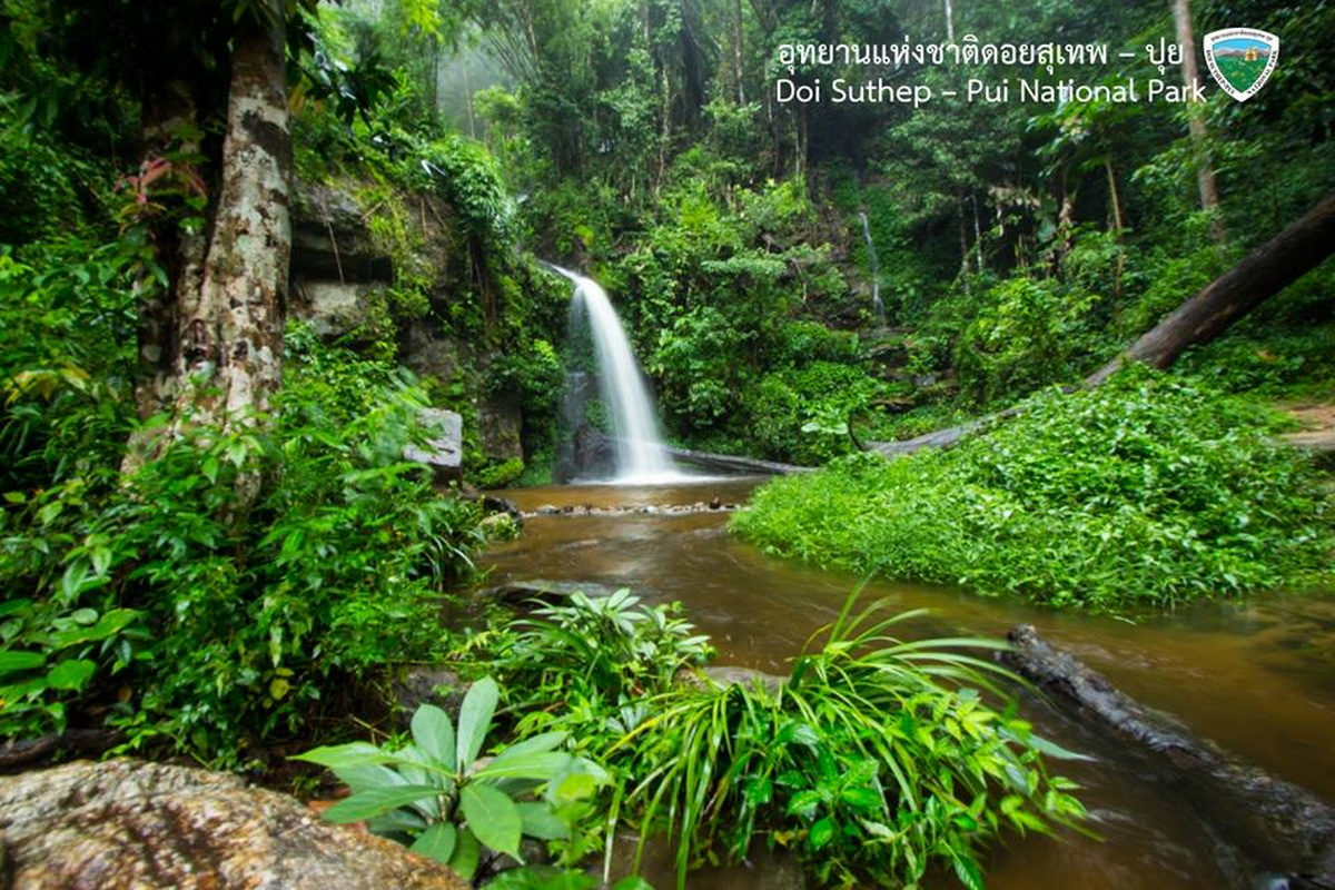 huay kaew waterfall, huai kaew waterfall, huaykaew waterfall, huaikaew waterfall, huay kaew waterfall chiang mai