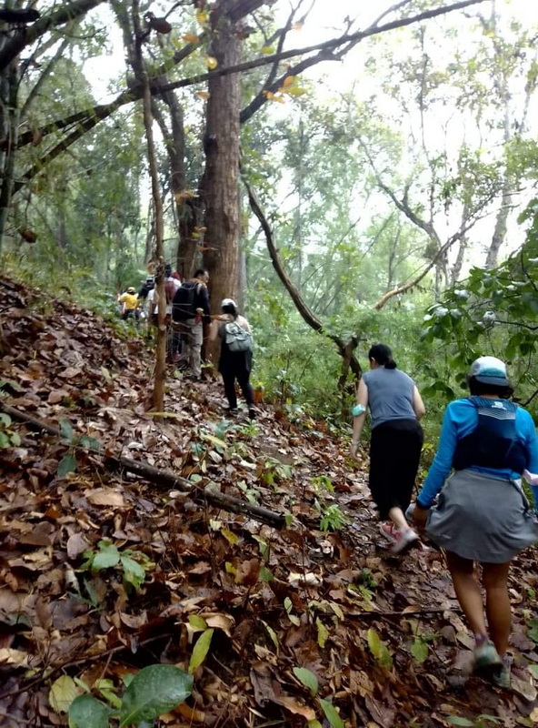 doi luang chiang dao, doi luang chiangdao, doi chiang dao, doi luang chiang dao forest park, doi chiang dao forest park, chiang dao wildlife sanctuary, doi luang chiang dao trek, doi luang chiangdao trek, doi chiang dao trek