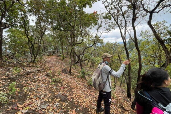 doi luang chiang dao, doi luang chiangdao, doi chiang dao, doi luang chiang dao forest park, doi chiang dao forest park, chiang dao wildlife sanctuary, doi luang chiang dao trek, doi luang chiangdao trek, doi chiang dao trek