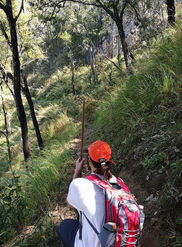 doi luang chiang dao, doi luang chiangdao, doi chiang dao, doi luang chiang dao forest park, doi chiang dao forest park, chiang dao wildlife sanctuary, doi luang chiang dao trek, doi luang chiangdao trek, doi chiang dao trek