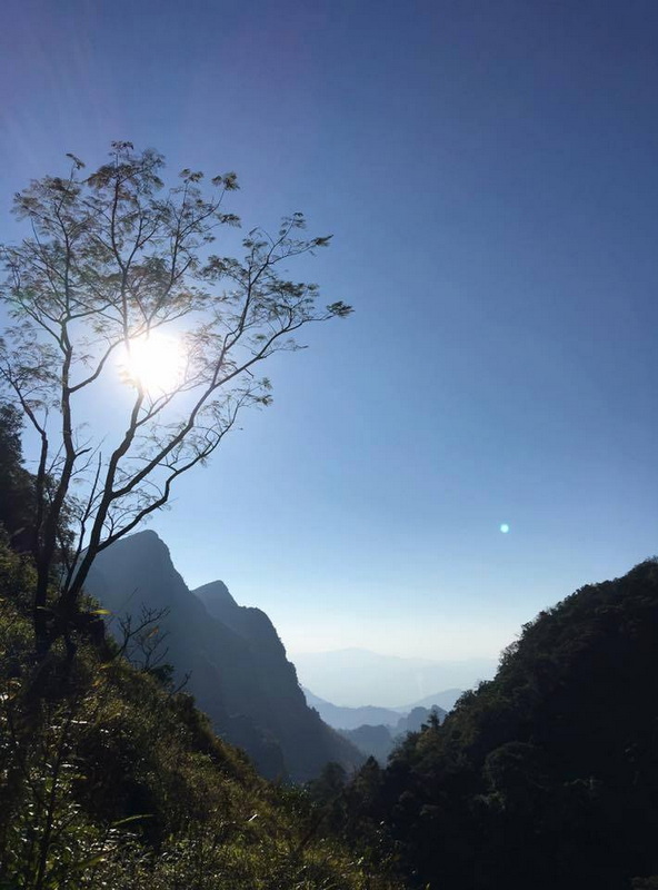 doi luang chiang dao, doi luang chiangdao, doi chiang dao, doi luang chiang dao forest park, doi chiang dao forest park, chiang dao wildlife sanctuary, doi luang chiang dao trek, doi luang chiangdao trek, doi chiang dao trek