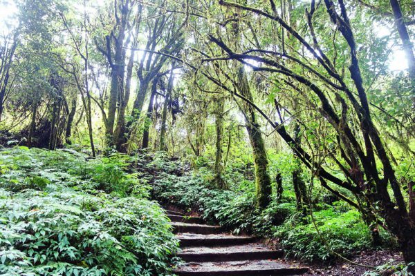 doi inthanon national park, inhanon, doi inthanon, inthanon national park