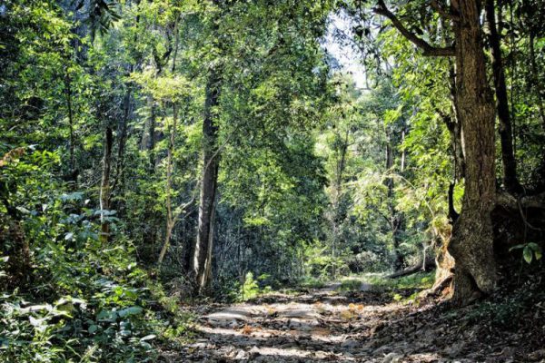 doi suthep trek