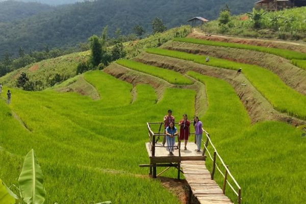 chiang mai hiking, chiang mai trekking, chiang mai trek, 1 day trek chiang mai, 1 day trek mae wang, 1 day chiang mai hiking