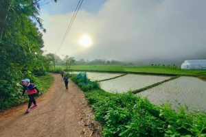 hiking nature trail, trek only walk, chiang mai hiking, chiang mai trekking, chiang mai trek, 1 day trek chiang mai, 1 day trek mae wang, 1 day chiang mai hiking