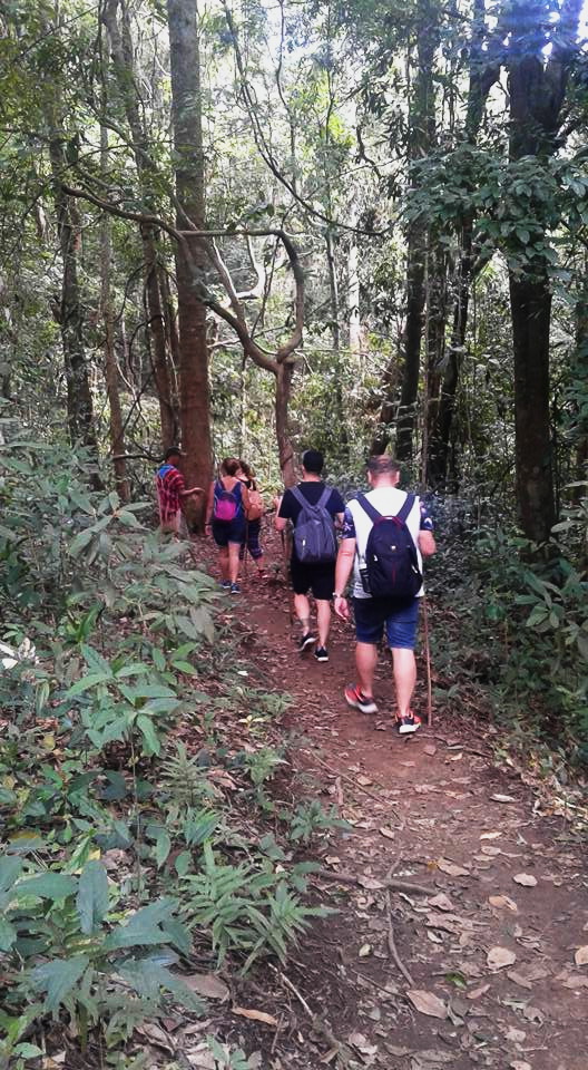 pha dok siew nature trail, pha dok siew, trekking baan mae klang luang, baan mae klang luang, trekking pha dok siew, hiking pha dok siew