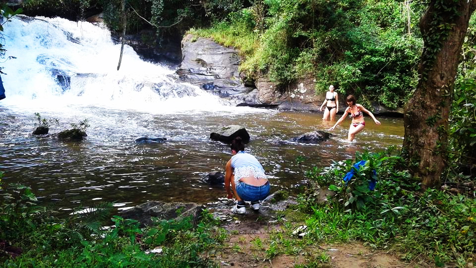 pha dok siew nature trail, pha dok siew, trekking baan mae klang luang, baan mae klang luang, trekking pha dok siew, hiking pha dok siew