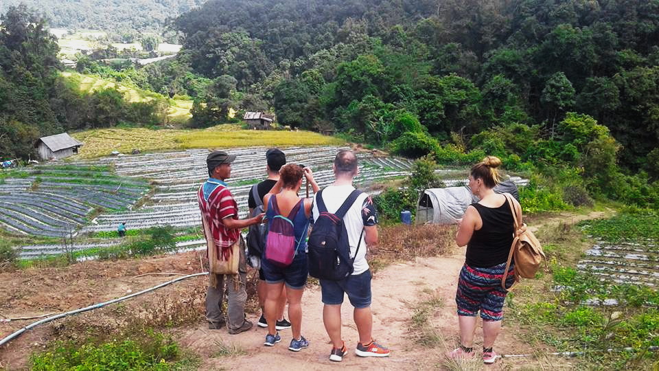 pha dok siew nature trail, pha dok siew, trekking baan mae klang luang, baan mae klang luang, trekking pha dok siew, hiking pha dok siew