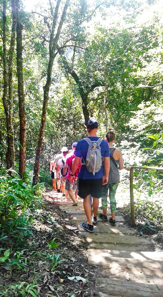 pha dok siew nature trail, pha dok siew, trekking baan mae klang luang, baan mae klang luang, trekking pha dok siew, hiking pha dok siew