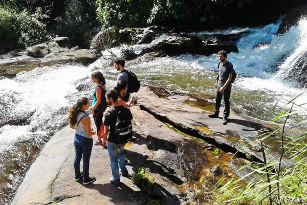 pha dok siew nature trail, pha dok siew, trekking baan mae klang luang, baan mae klang luang, trekking pha dok siew, hiking pha dok siew