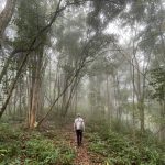 1 Day Trekking in Chiang Dao wildlife sanctuary