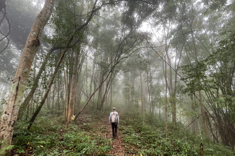 1 Day Trekking in Chiang Dao wildlife sanctuary