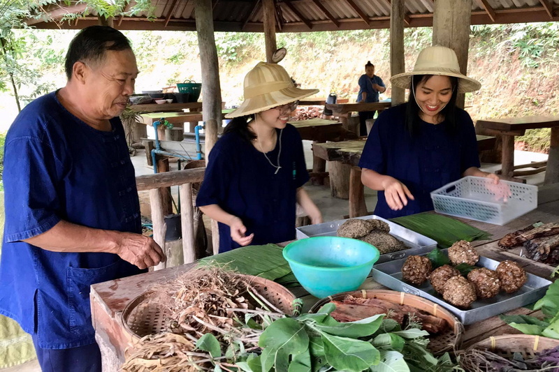 the chang chiang mai, the chang elephant camp, the chang chiang mai elephant camp, the chang elephant camp chiang mai, maesa elephant camp, maesa elephant chiang mai