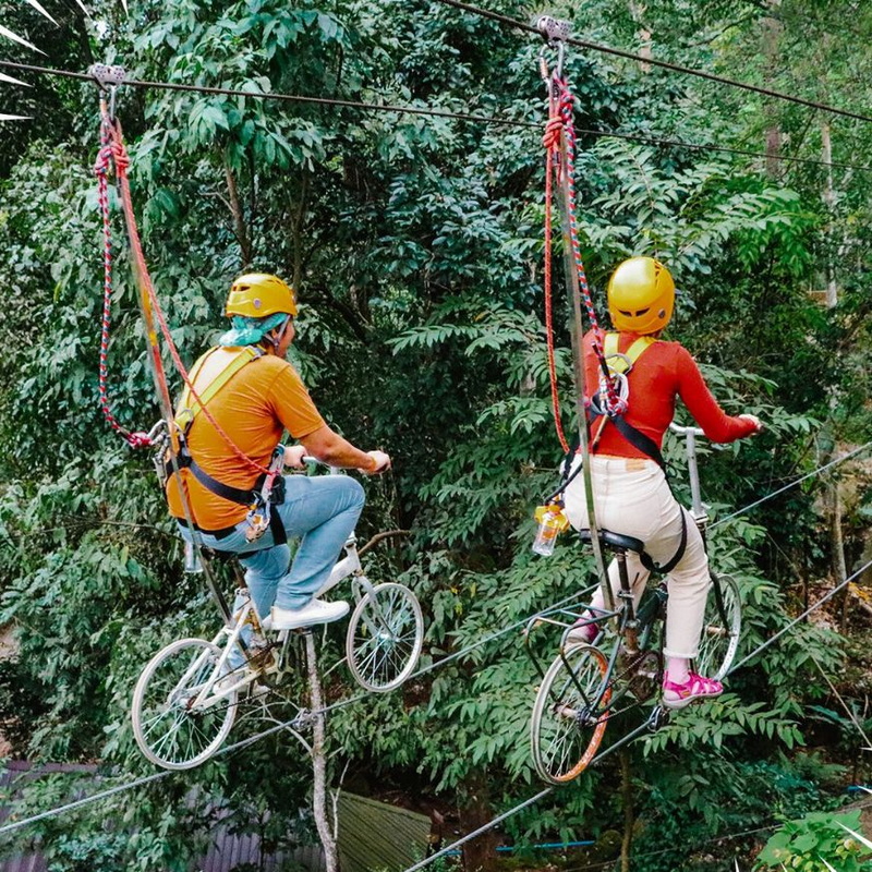 pongyang jungle coaster zipline, pongyang zipline, pongyang jungle coaster, zipline pongyang jungle coaster, zipline pongyang, pongyang