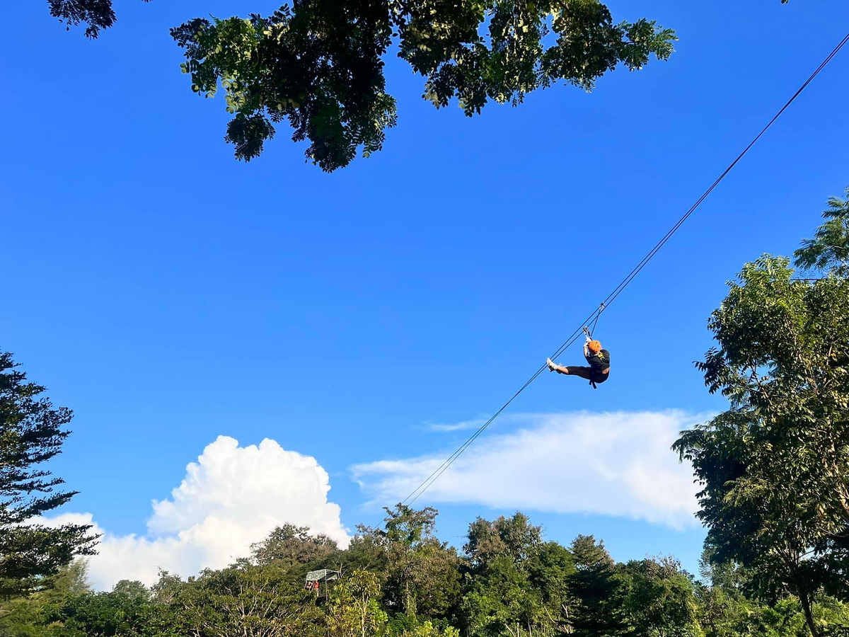 phoenix zipline adventure, phoenix zipline, phoenix zipline chiang mai, phoenix adventure park, phoenix adventure park chiang mai, phoenix adventure chiang mai