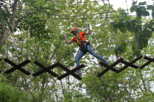 phoenix zipline adventure, phoenix zipline, phoenix zipline chiang mai, phoenix adventure park, phoenix adventure park chiang mai, phoenix adventure chiang mai