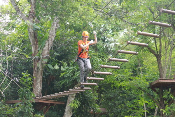 phoenix zipline adventure, phoenix zipline, phoenix zipline chiang mai, phoenix adventure park, phoenix adventure park chiang mai, phoenix adventure chiang mai