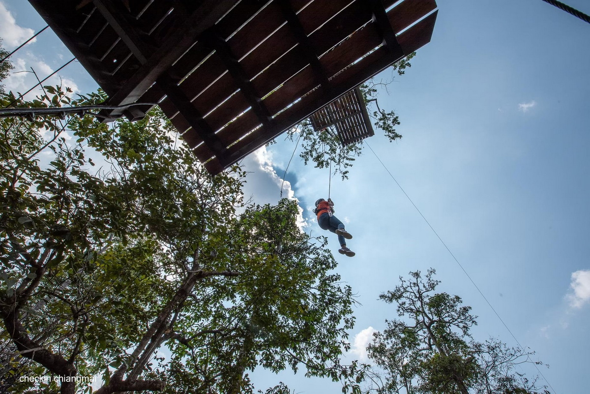 pongyang jungle coaster zipline, pongyang zipline, pongyang jungle coaster, zipline pongyang jungle coaster, zipline pongyang, pongyang