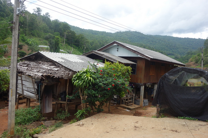 tour doi Inthanon, tour doi Inthanon national park, day tour doi Inthanon national park, budget tour doi Inthanon national park, day tour doi Inthanon, budget tour doi Inthanon, join with group tour doi Inthanon, join with group tour doi Inthanon national park