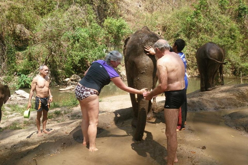 one day trek mae wang, day trek mae wang, one day terk maewang and elephant care, one day terk mae wang and elephant care, trek mae wang, trekking in mae wang