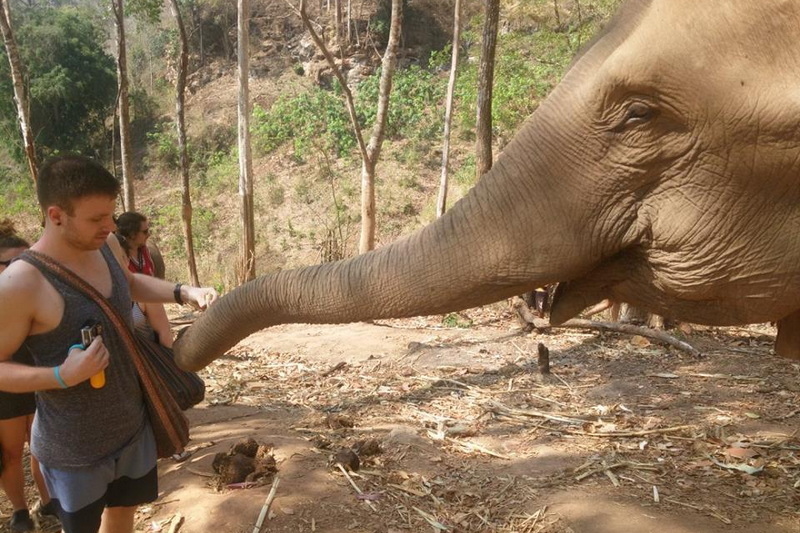 one day trek mae wang, day trek mae wang, one day terk maewang and elephant care, one day terk mae wang and elephant care, trek mae wang, trekking in mae wang